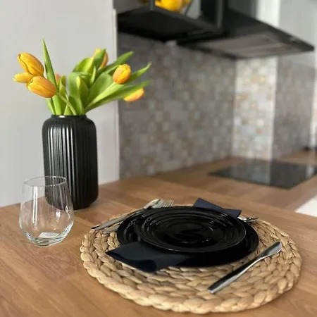 Apartment Campeador Timisoara